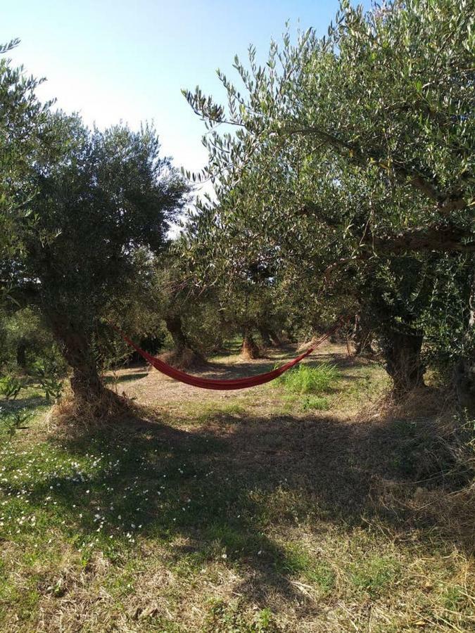 Villa Daphne, Messinia Near Koroni Kómboi Exteriér fotografie